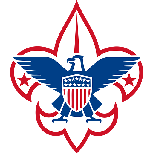 BSA logo